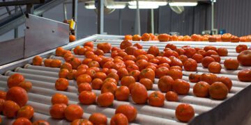 Ejemplo empresarial en el Perú: ProCitrus, un gremio emblemático de productores de cítricos