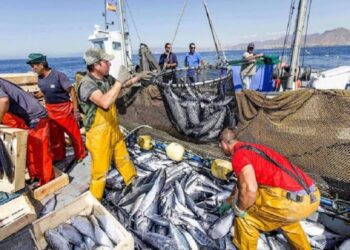 INEI, enero de 2023: En 15,12% disminuyó el consumo interno de cemento