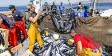 INEI, enero de 2023: En 15,12% disminuyó el consumo interno de cemento