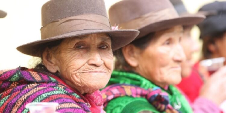 Perú: El 24,5% de los hogares jefaturados por adultos mayores son unipersonales
