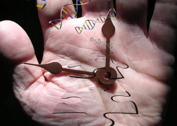 Vivir más años y mejores, ¿influye en nuestras decisiones vitales?