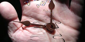 Vivir más años y mejores, ¿influye en nuestras decisiones vitales?