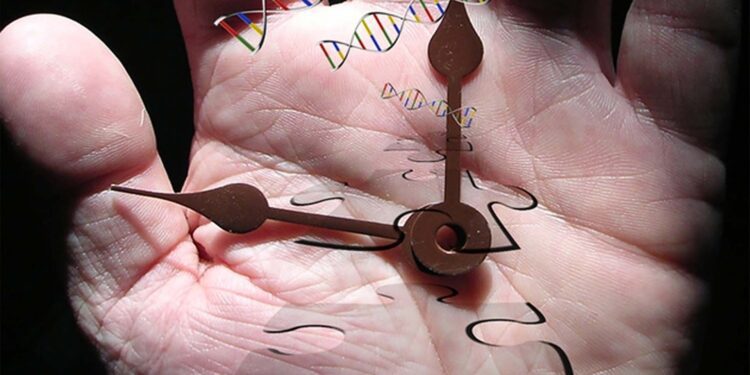 Vivir más años y mejores, ¿influye en nuestras decisiones vitales?