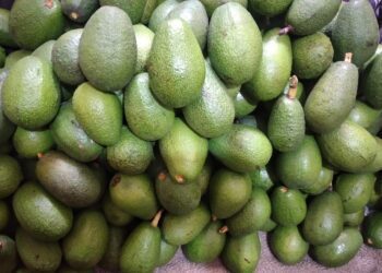 INEI: veinte de las veintiséis ciudades donde se calcula el Índice de Precios al Consumidor mostraron alza de precios