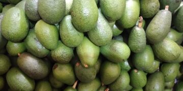 INEI: veinte de las veintiséis ciudades donde se calcula el Índice de Precios al Consumidor mostraron alza de precios