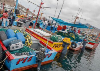 La opinión de los pescadores artesanales: recursos pesqueros se encuentran sobreexplotados
