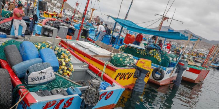 La opinión de los pescadores artesanales: recursos pesqueros se encuentran sobreexplotados