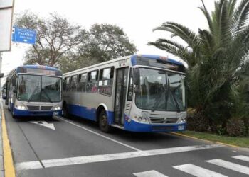Transporte público: “Estamos agonizando”