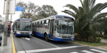 Transporte público: “Estamos agonizando”