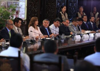 Defender la frágil Democracia, no significa defender al gobierno de Boluarte