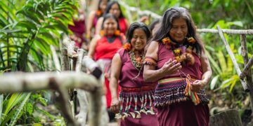 Bosques que sanan: cinco iniciativas que muestran la riqueza de los ecosistemas forestales