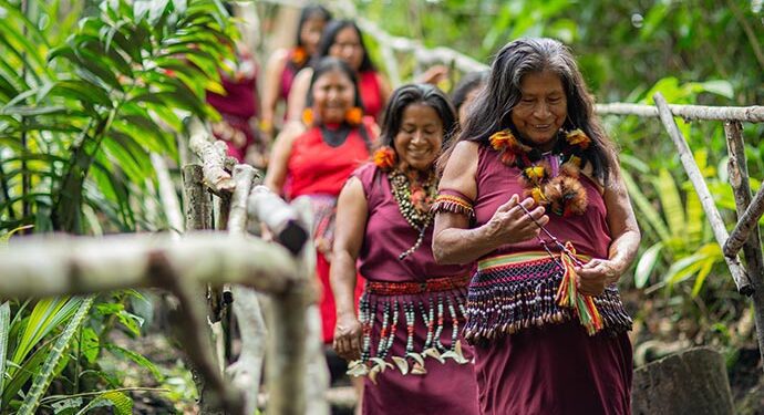 Bosques que sanan: cinco iniciativas que muestran la riqueza de los ecosistemas forestales
