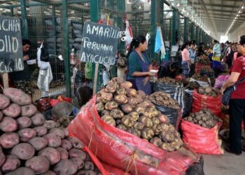 Indice de Precios al Consumidor de Lima Metropolitana subió en los últimos doce meses 7,97%