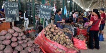 Indice de Precios al Consumidor de Lima Metropolitana subió en los últimos doce meses 7,97%