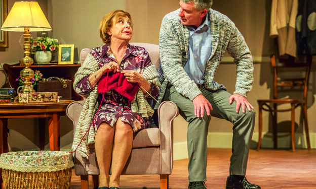 La opinión viene desde casa: “Mamá, así va la economía”