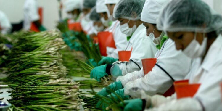 AGAP: situación actual del agro en el Perú