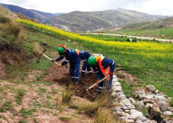 La Oroya, remediación de suelos por las emisiones del Complejo Metalúrgico