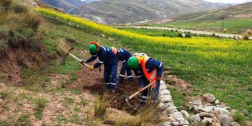 La Oroya, remediación de suelos por las emisiones del Complejo Metalúrgico