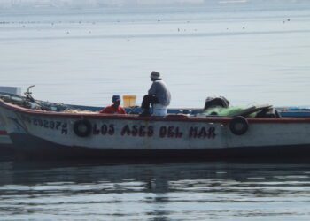 Estamos a la deriva, poniendo parches y buenos deseos a un gobierno sin rumbo