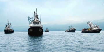 Austral Group, compañía líder en sostenibilidad en el sector pesquero