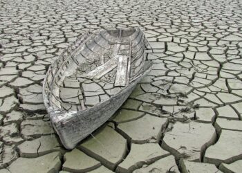 ¿Los incompetentes, son los nuevos líderes en el Perú?