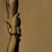 Simplemente, no existe la confianza: ¿La construímos?