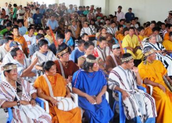 TC: el derecho a la consulta previa constituye fuente de derecho interno