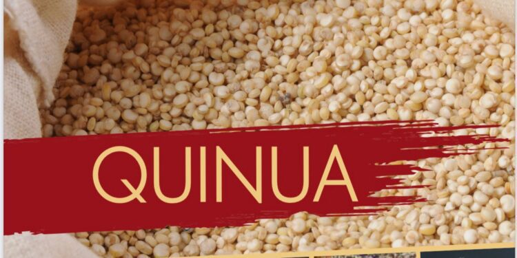 QUINUA, un libro que va más allá de la gastronomía, para impulsar al Perú