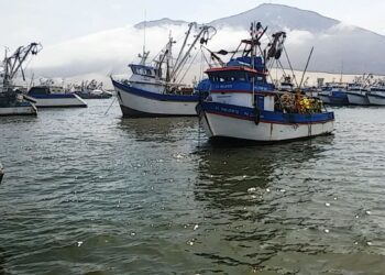 INEI: en el periodo enero-mayo la actividad productiva del país se redujo en 0,49%