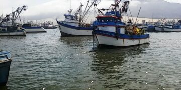 INEI: en el periodo enero-mayo la actividad productiva del país se redujo en 0,49%