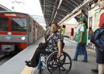 Del total de la población que padece alguna discapacidad, el 41,9% son personas mayores de 60 años de edad