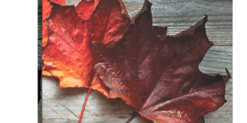 El Informe de la Fundación Milenio sobre la economía de Bolivia 2023