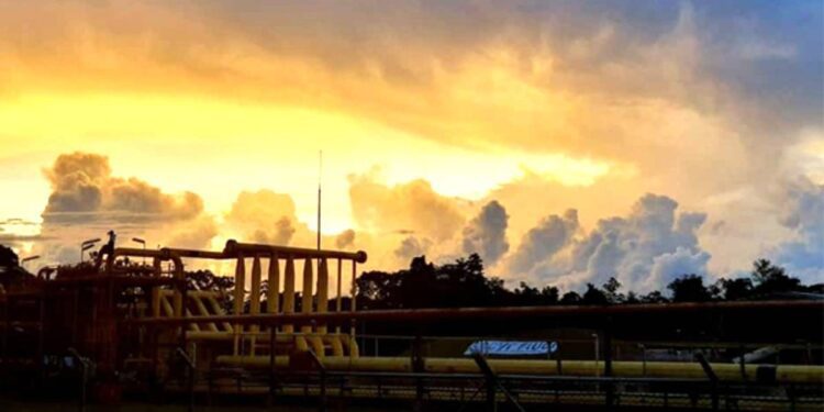 Un relato desde el «Nuevo Mundo», en medio de la selva peruana