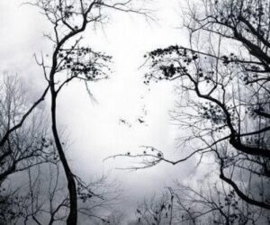 Cada vez nos sentimos más jóvenes de lo que realmente somos, y eso es una excelente noticia