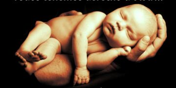 Conferencia Episcopal Peruana se pronuncia: “No abramos las puertas a la cultura de la muerte”