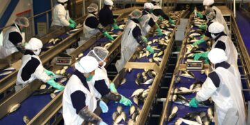 Malas señales: Industria Primaria registró baja de 29,72% luego de cinco meses de crecimiento