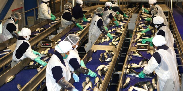 Malas señales: Industria Primaria registró baja de 29,72% luego de cinco meses de crecimiento