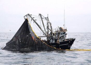 Pesca se contrajo 47,94% y el consumo interno de cemento disminuyó 6,10%