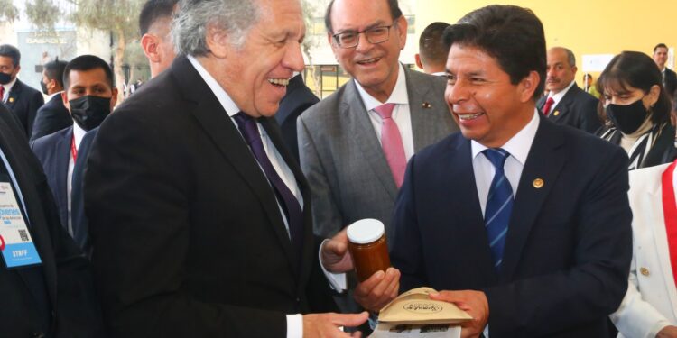 La Organización de Estados Americanos, ¿Un extraño caso de amor con Castillo?