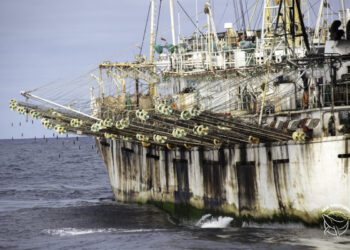 Más de 70 barcos chinos han ingresado a Perú sin el dispositivo satelital que exige la norma