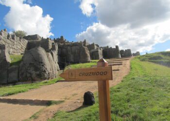 No despegamos: Actividad de agencias de viajes y operadores turísticos se redujo 12,56%