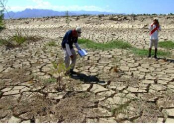 Alerta: disminuyen precipitaciones en 98,1% en la zona norte de la vertiente del Pacífico