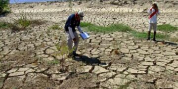 Alerta: disminuyen precipitaciones en 98,1% en la zona norte de la vertiente del Pacífico
