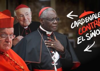 Luisella Scrosati: Un análisis al primer punto de la respuesta del Papa a Cardenales