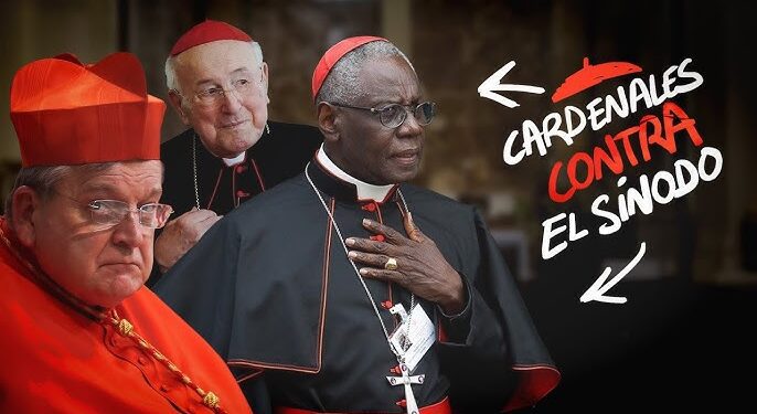 Luisella Scrosati: Un análisis al primer punto de la respuesta del Papa a Cardenales