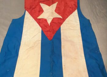 Cuba: Alina López Hernández, perseguida, detenida, procesada, acusada de delitos graves, por hablar y pensar