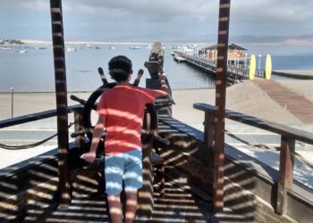 ¿Buscamos imitar lo de afuera o miramos hacia adentro? ¿Un Bukele, un Milei?