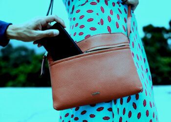 ¿Ministro de economía? Artista del bolsiqueo, sin censura ni condena