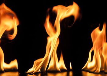 La funeraria caviar, a todo galope, hasta la incineración