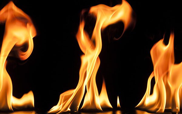 La funeraria caviar, a todo galope, hasta la incineración